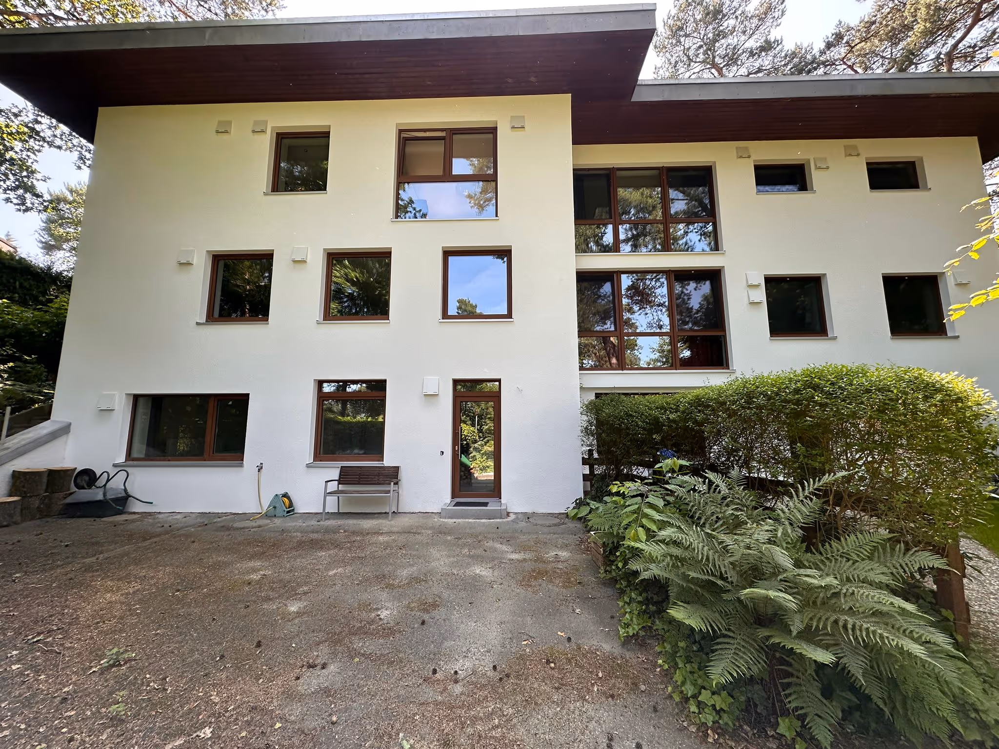 Modernes weißes Wohnhaus mit braunen Fensterrahmen, großer Hecke und Farnpflanzen im Vordergrund.