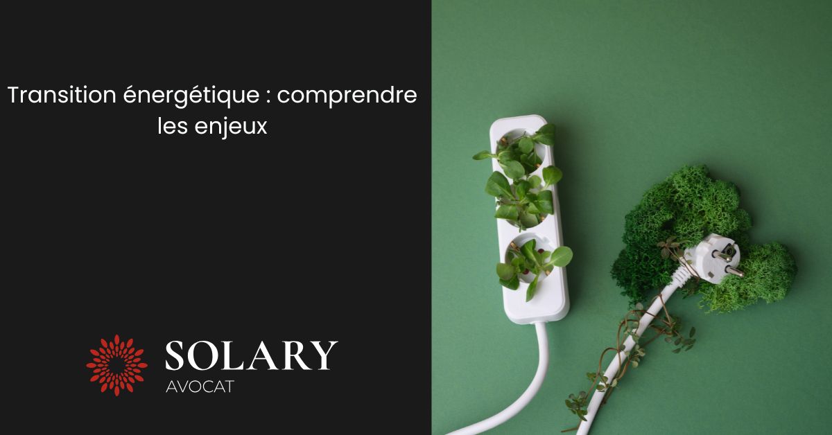 Transition énergétique