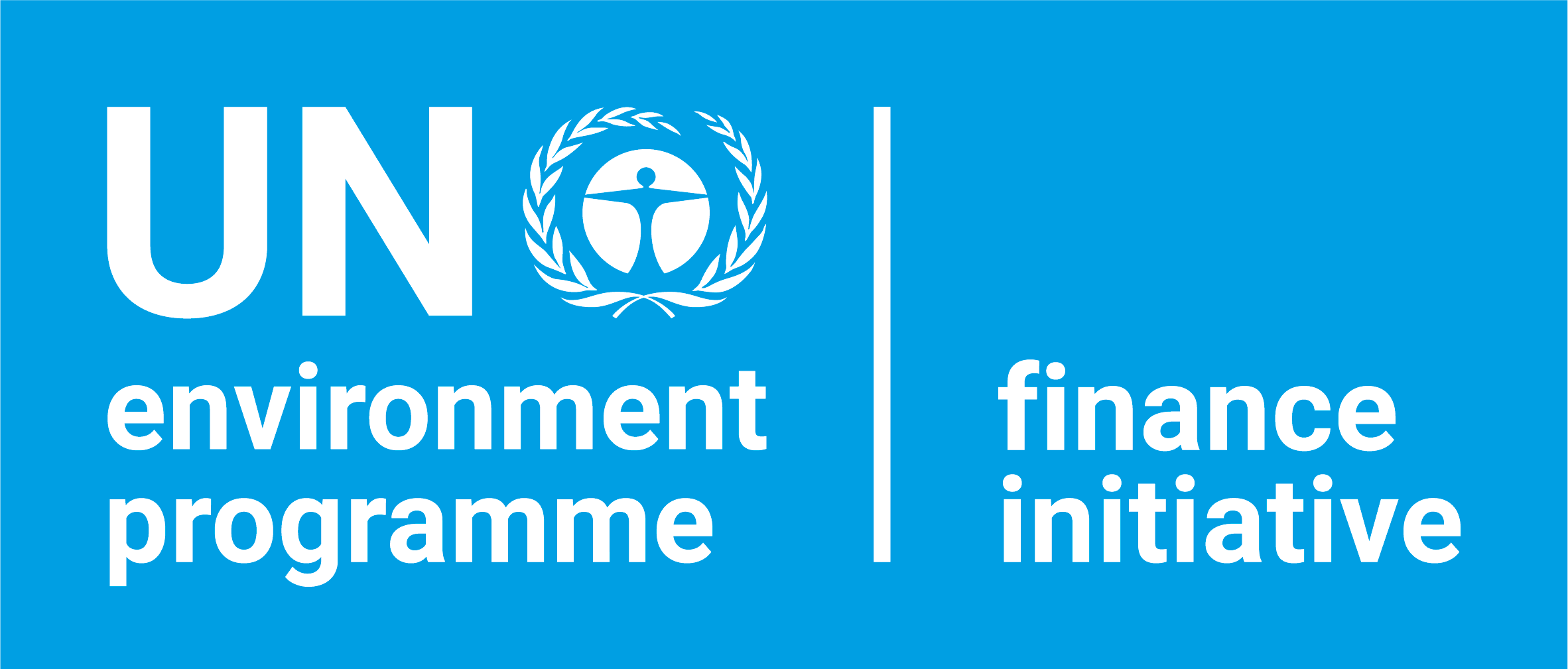 UN Environment Programme Finance Initiative (UNEP FI)