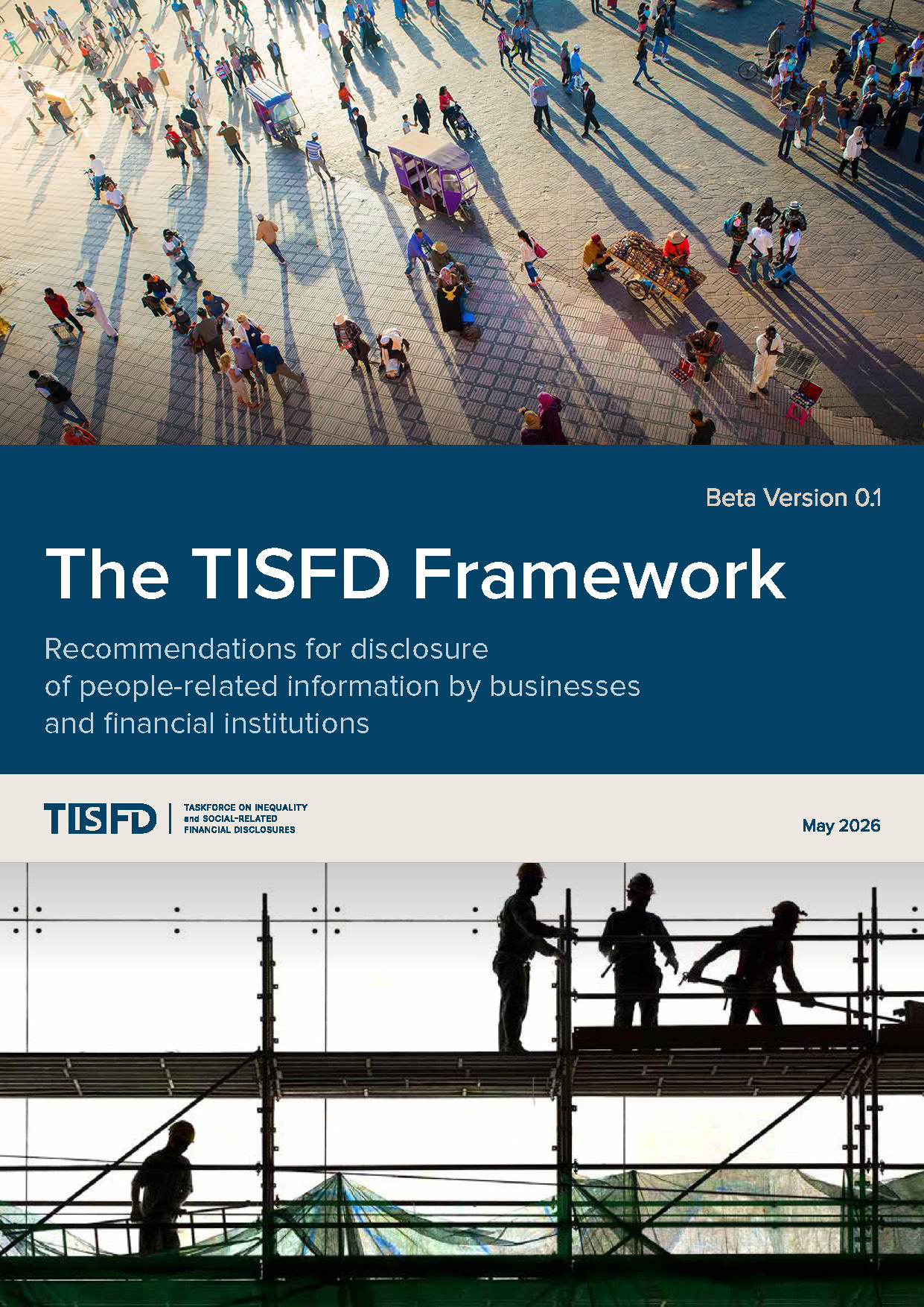 TISFD Framework (Beta Version 0.1)