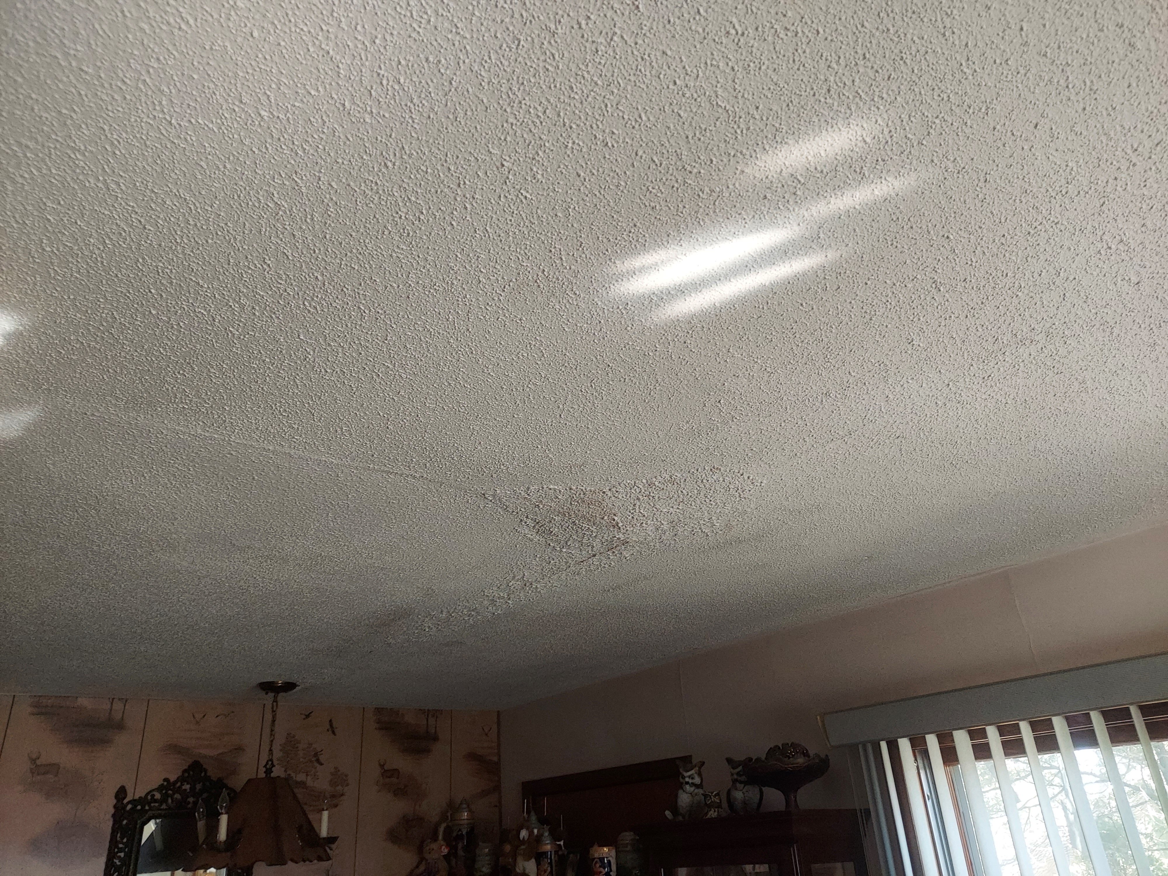 Popcorn ceiling water stain showing active roof leak signs, not a finished roof.