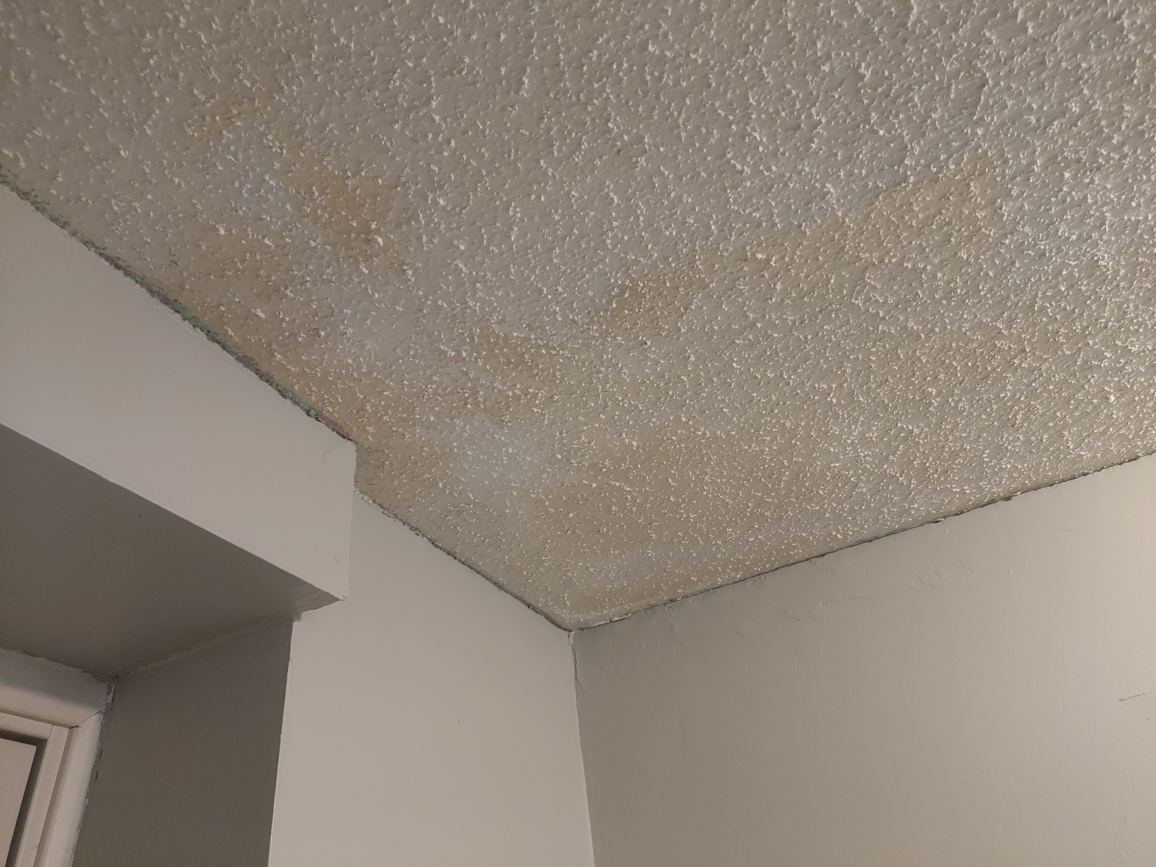 Second ceiling water stain from an active roof leak, inspection evidence only.