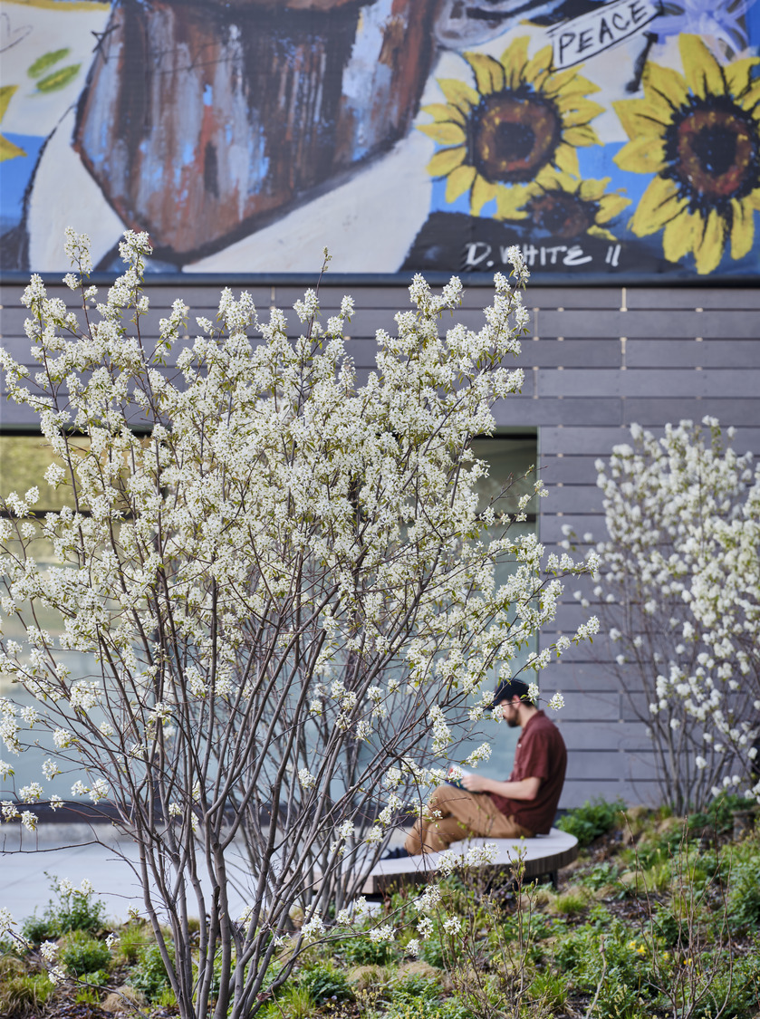 person sitting on bench infront of mural