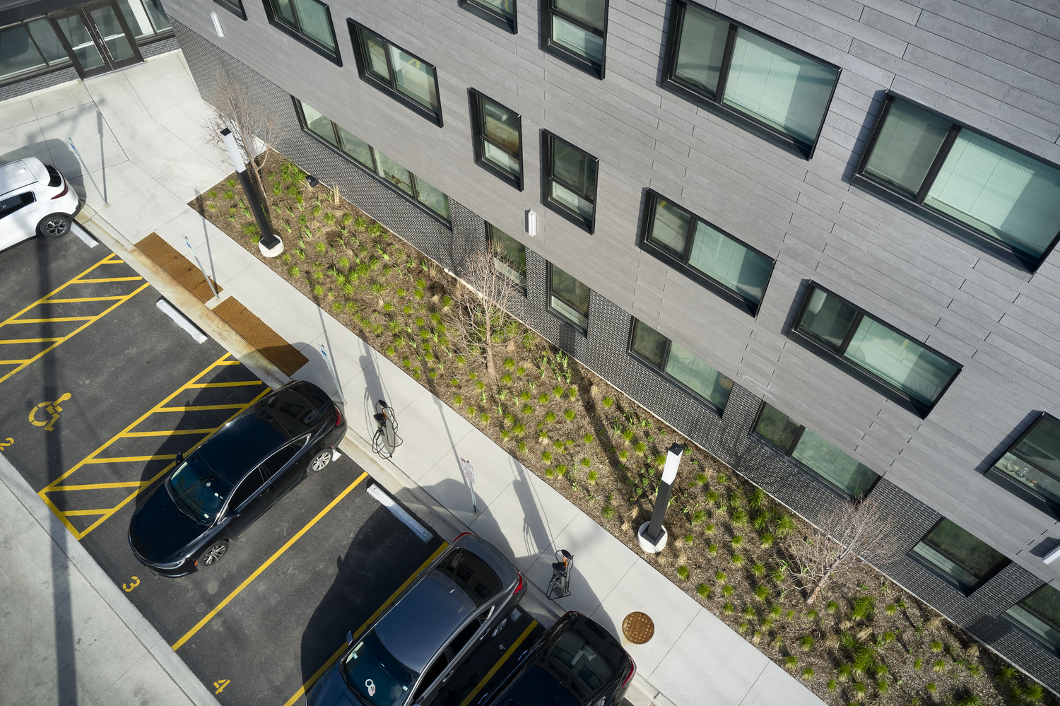 rain garden against building