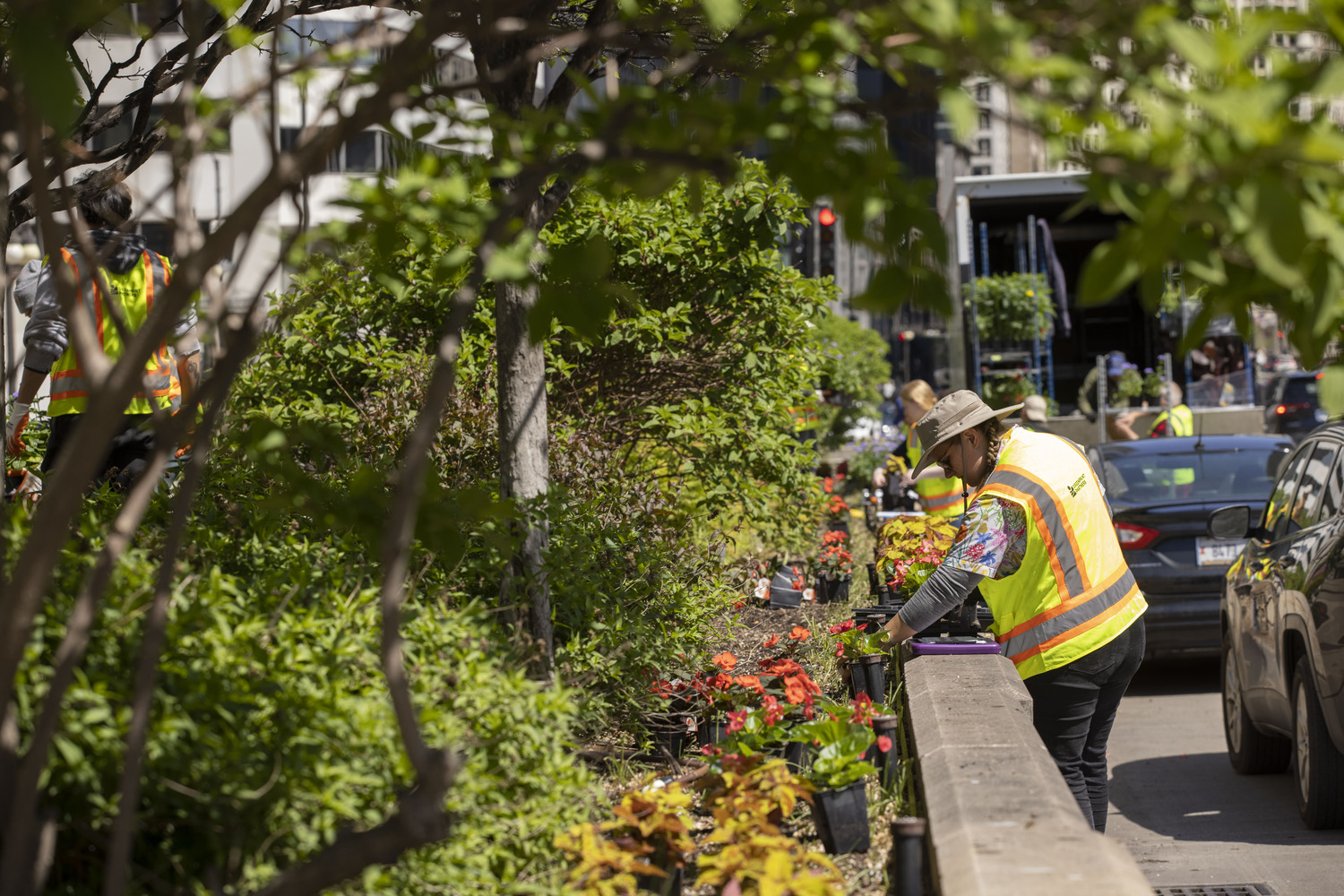 vegetated median planter