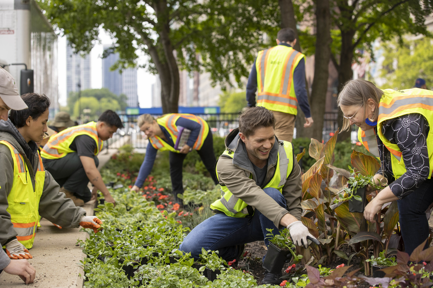 people planting in street median