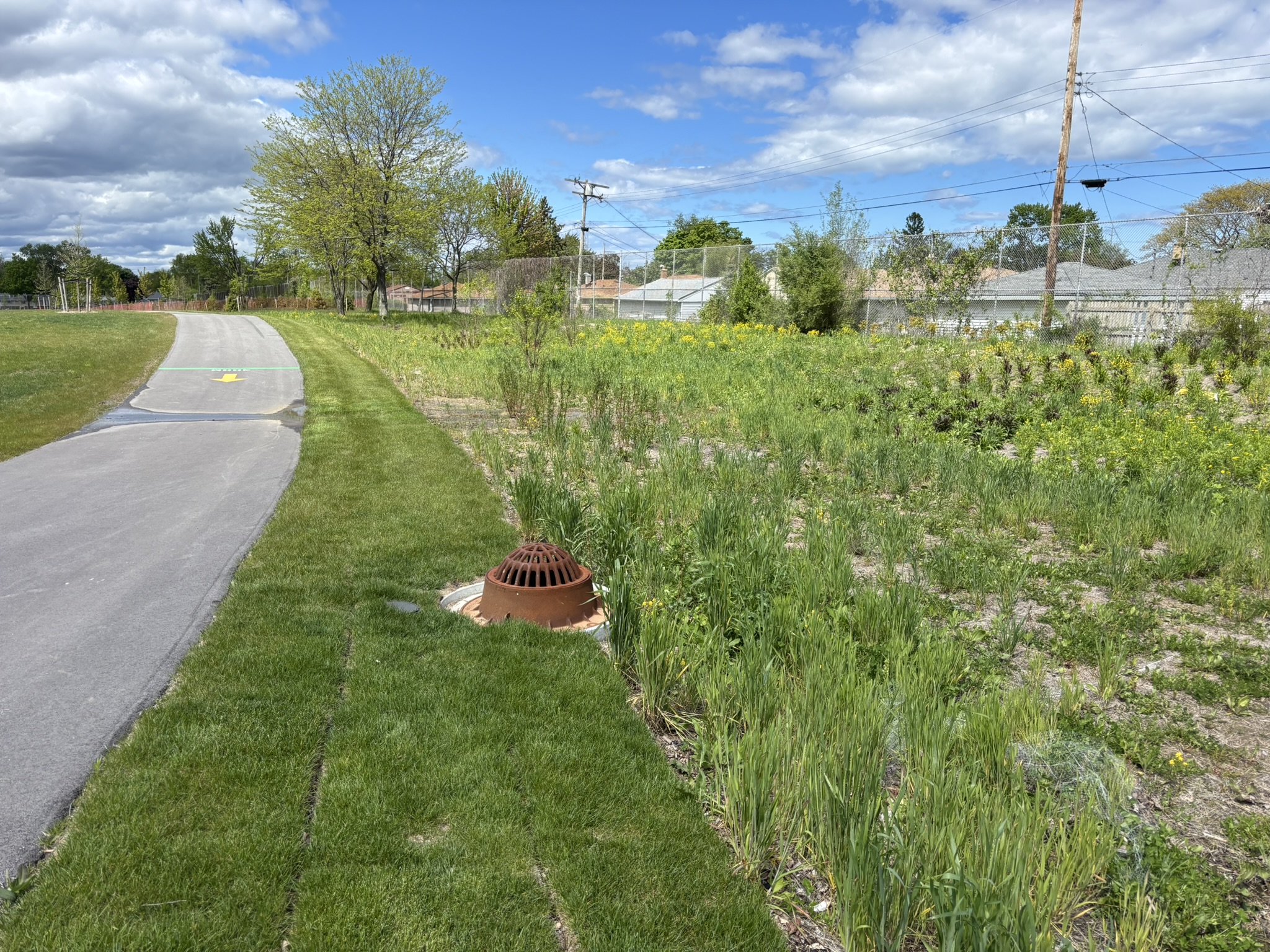 bioretention basin along road