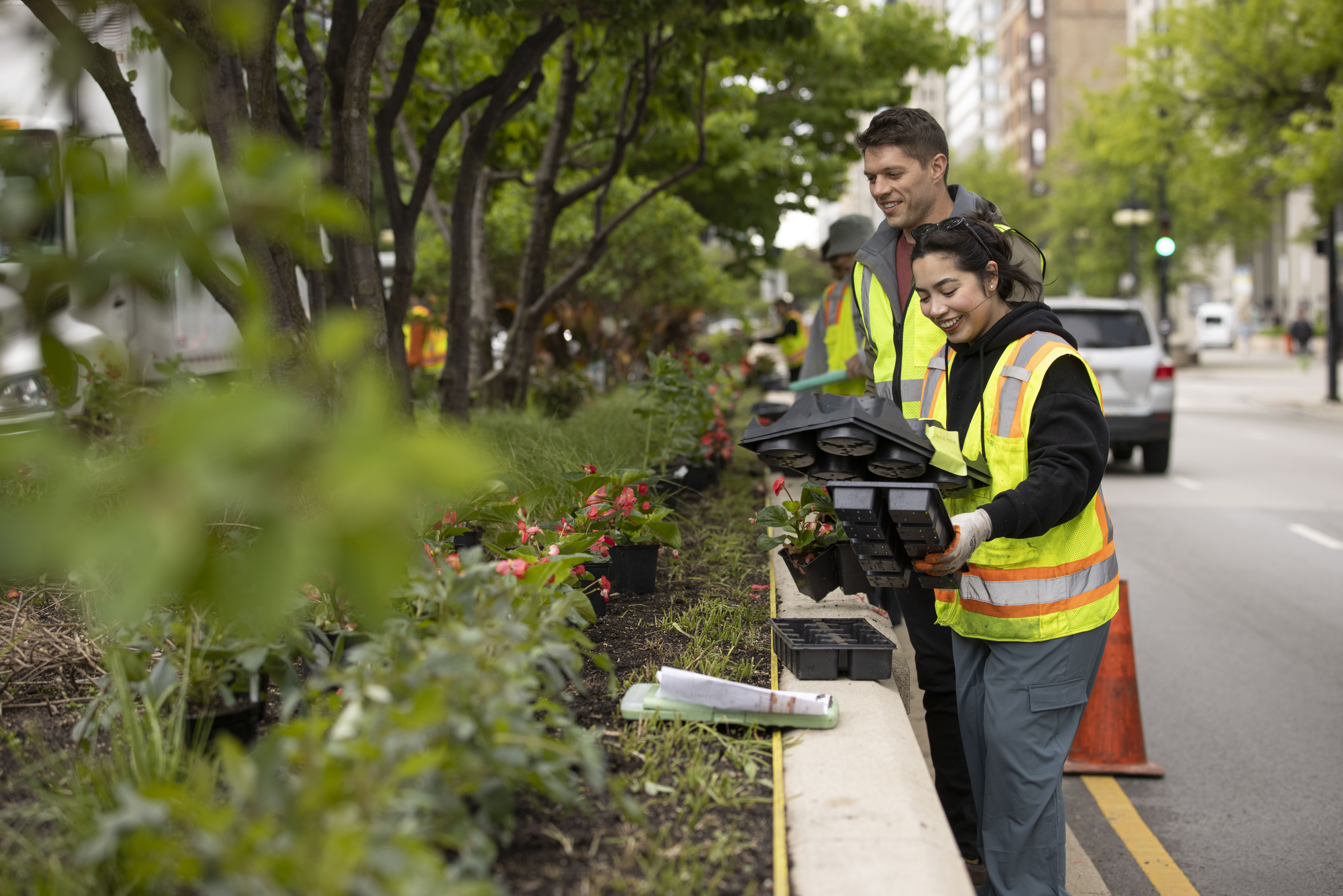 Two people adding plants to median 