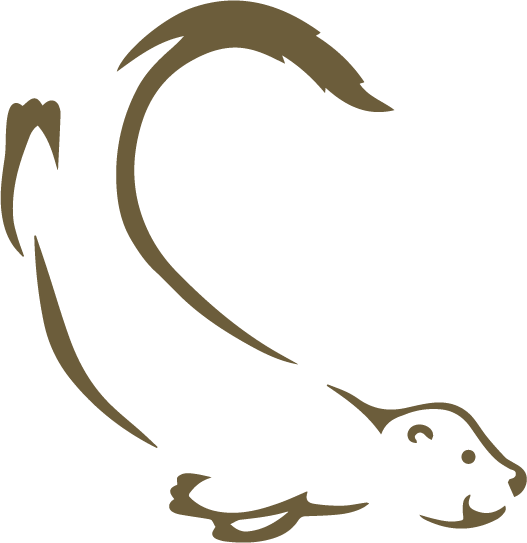 Otter Audit & Consultancy Services | UK Insurers