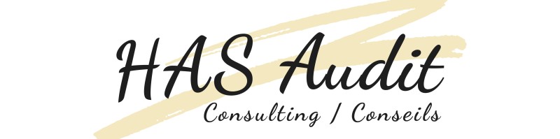 Hugues-Albert (H-A) Sully MPA,PMP,CIA - President, HAS Audit and Consulting  | LinkedIn