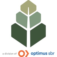 Acceleration Strategy Inc logo