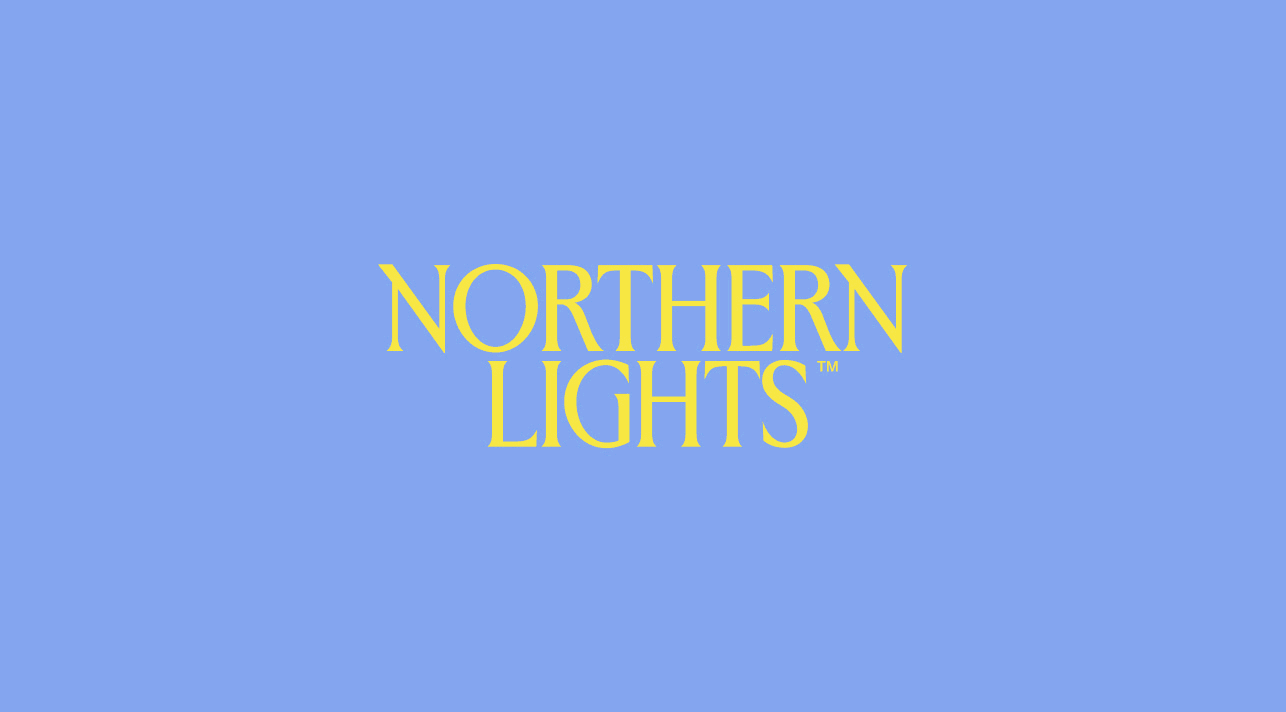 Northern Light Technologies logo animation