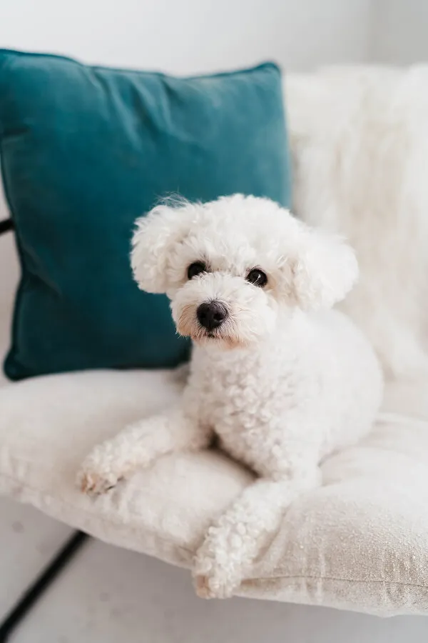 Envision Labour Hire - testimonials image