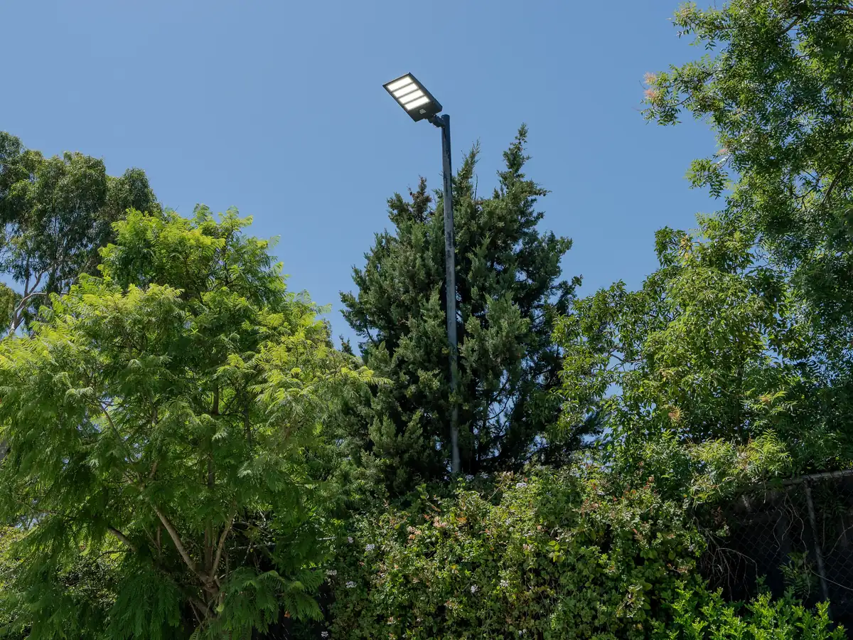 New LED floodlight on a pole above the trees, Glen Iris