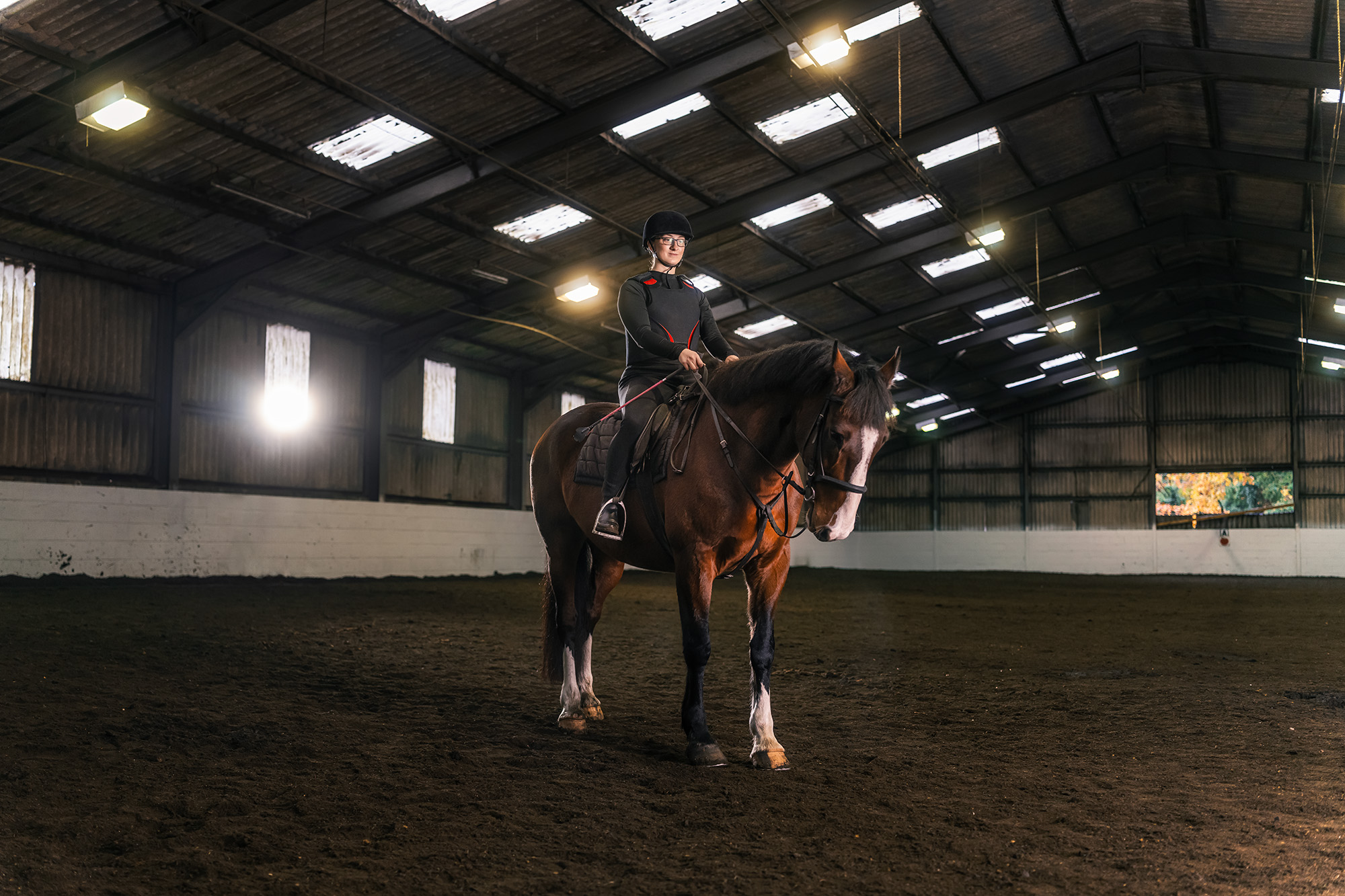 DSC07122 Sam Horse FINAL FLAT.jpg
