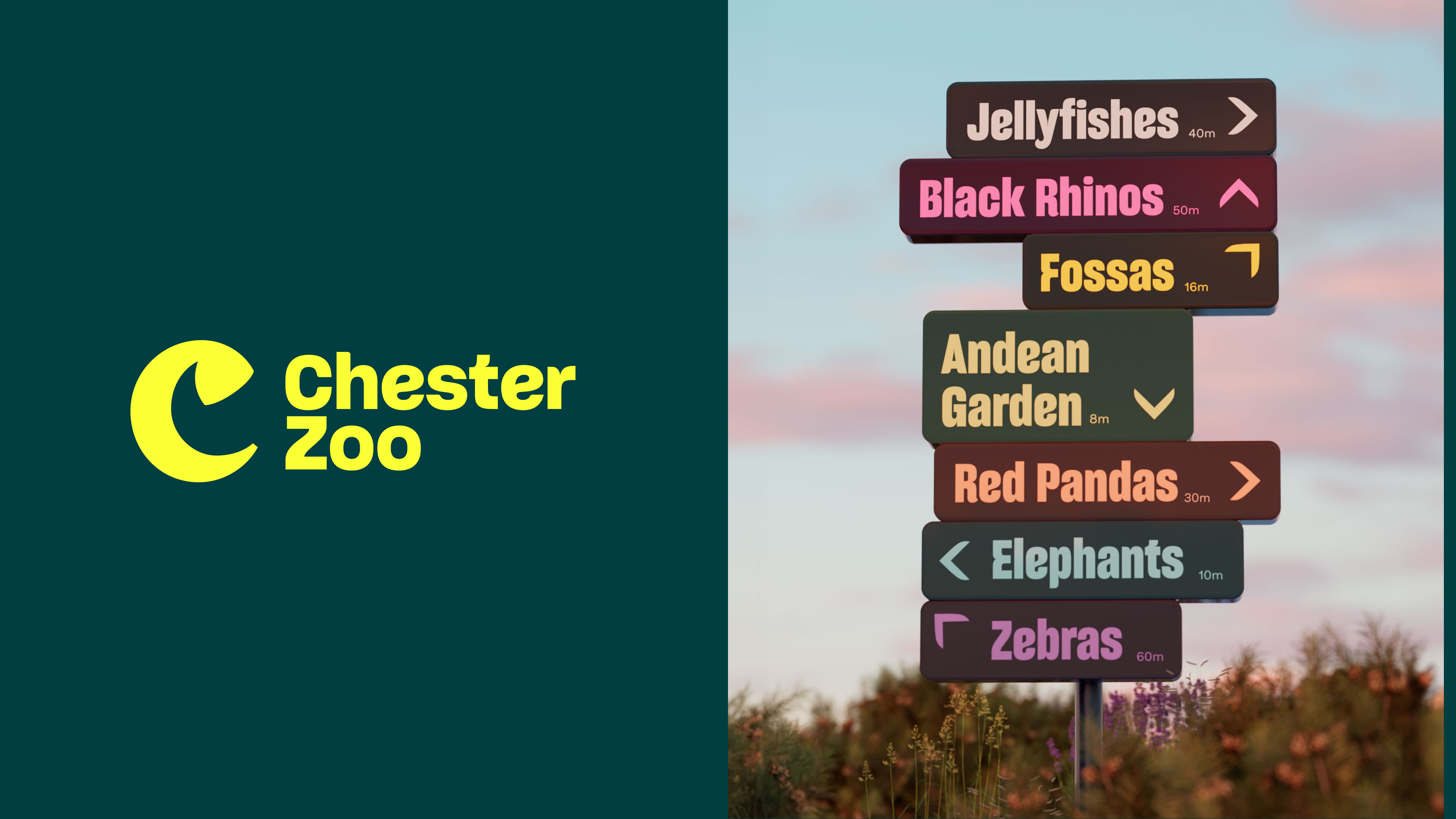 01_Chester_Zoo_005.jpg