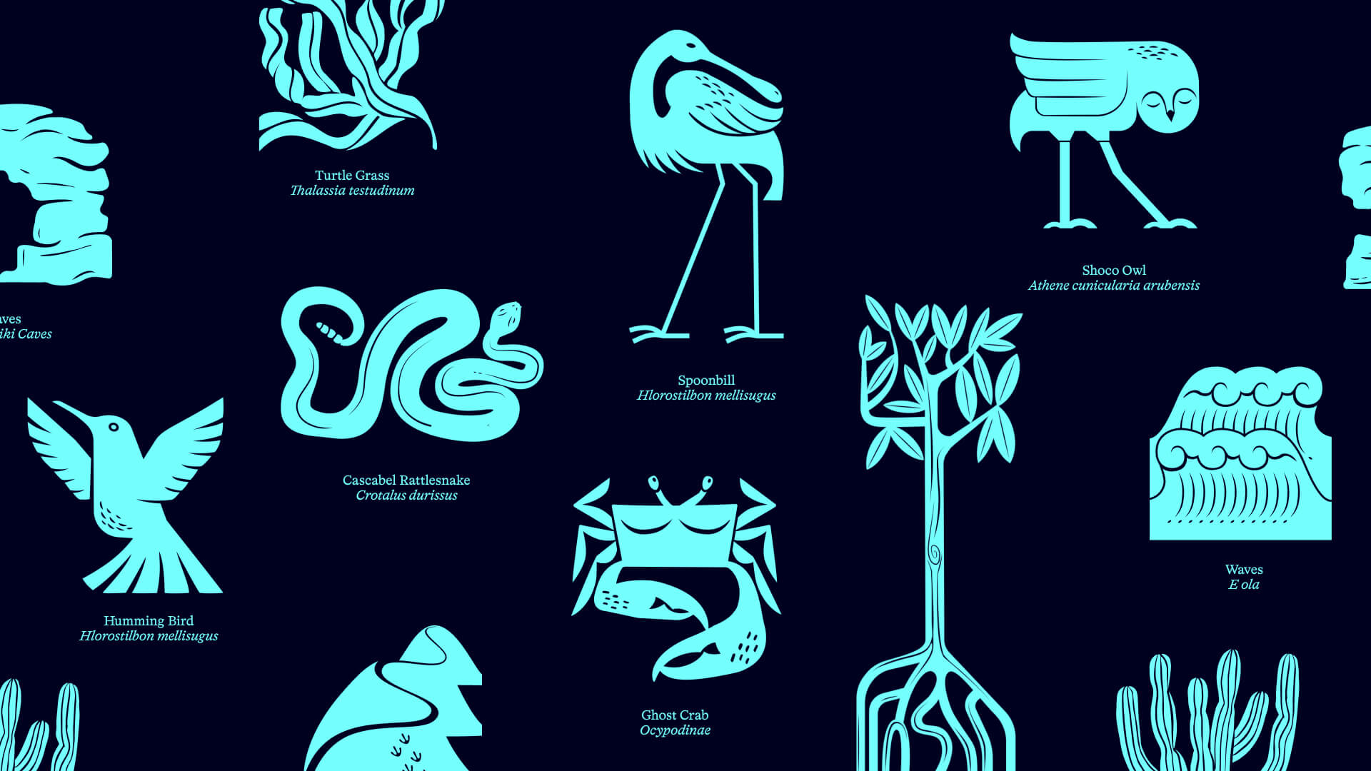 ACF-Brand-Illustration-System-How-Agency-06-L-1920x1080.jpg