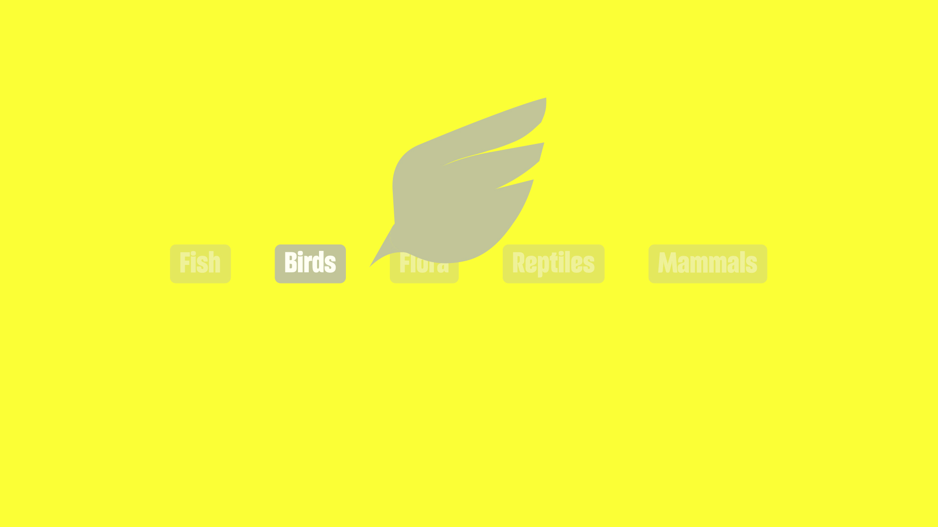 CZ-Brand-IconExplainer-How-Agency-06-L-1920x1080.jpg