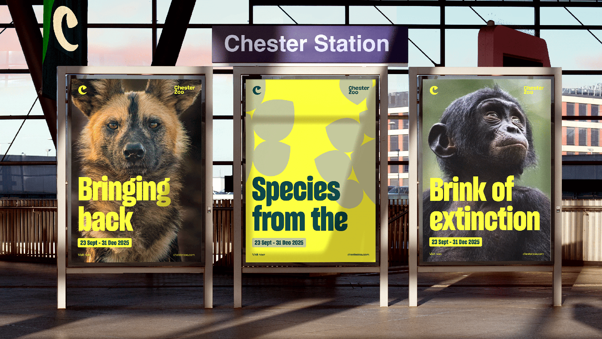 CZ-Brand-TrainStationOOH-How-Agency-05-L-1920x1080.png