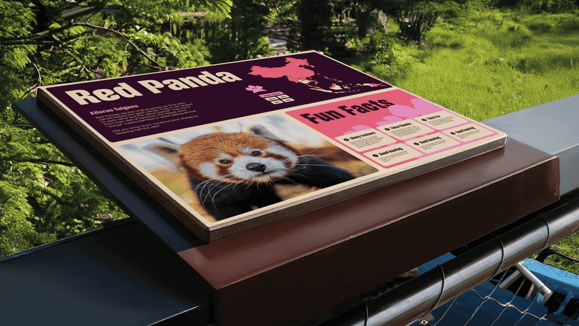 CZ-Brand-AnimalSignage-How-Agency-09-L-1920x1080.png