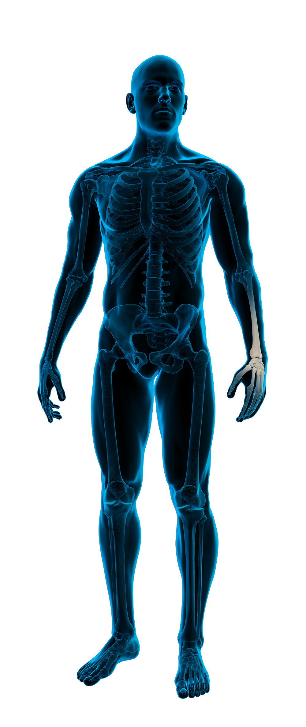 Anatomische röntgenfoto van een menselijk lichaam met focus op het handgewricht.
