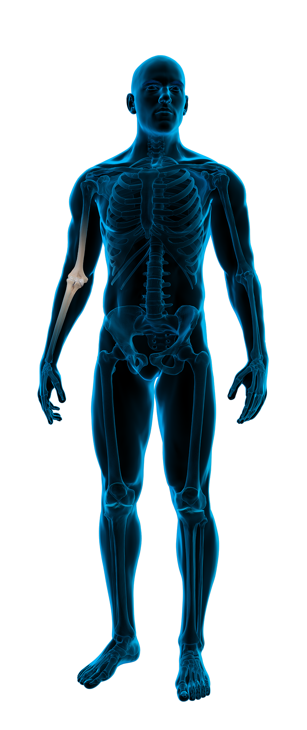 Anatomische röntgenfoto van een menselijk lichaam met focus op de elleboog.