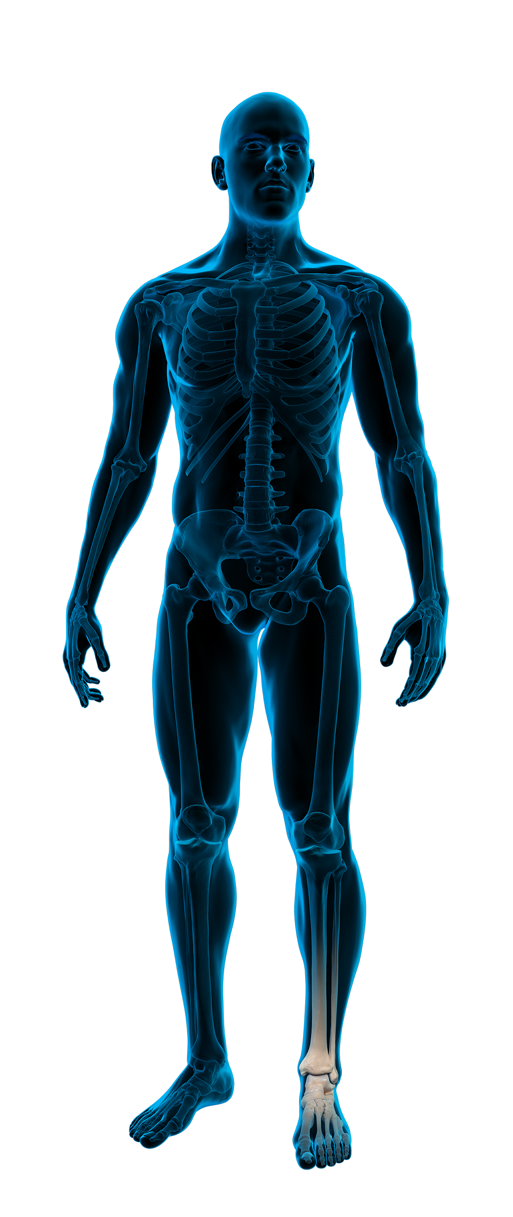 Anatomische röntgenfoto van een menselijk lichaam met focus op de voet.
