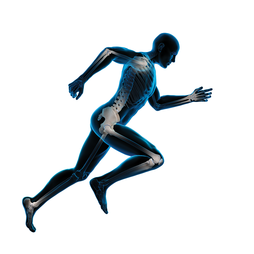 Anatomische röntgenfoto van een menselijk lichaam in sprinthouding met focus op alle gebieden van sportblessures.