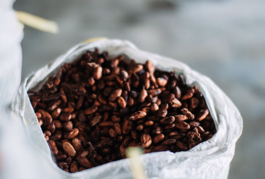 Rethinking Logistics: How are Cocoa Beans Transported?