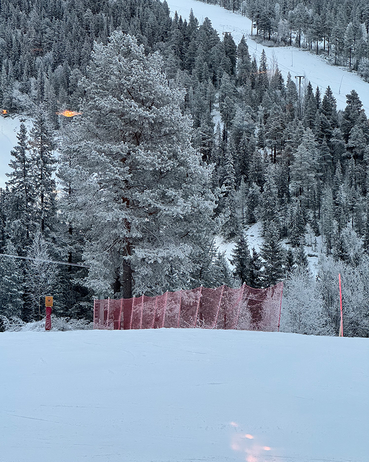 Snow-covered ski slope bordered by red safety netting with frost-covered trees and pine forest in the background.