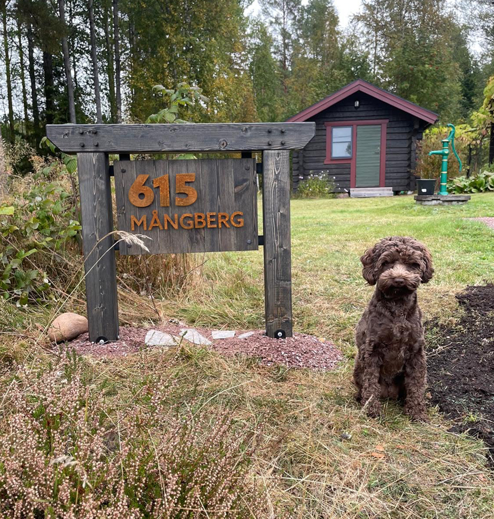Brown curly-haired dog sitting on grass near a rustic wooden sign showing the number 615 and the word Mångberg, with a small dark wooden cabin and green manual water pump in the background surrounded by trees.