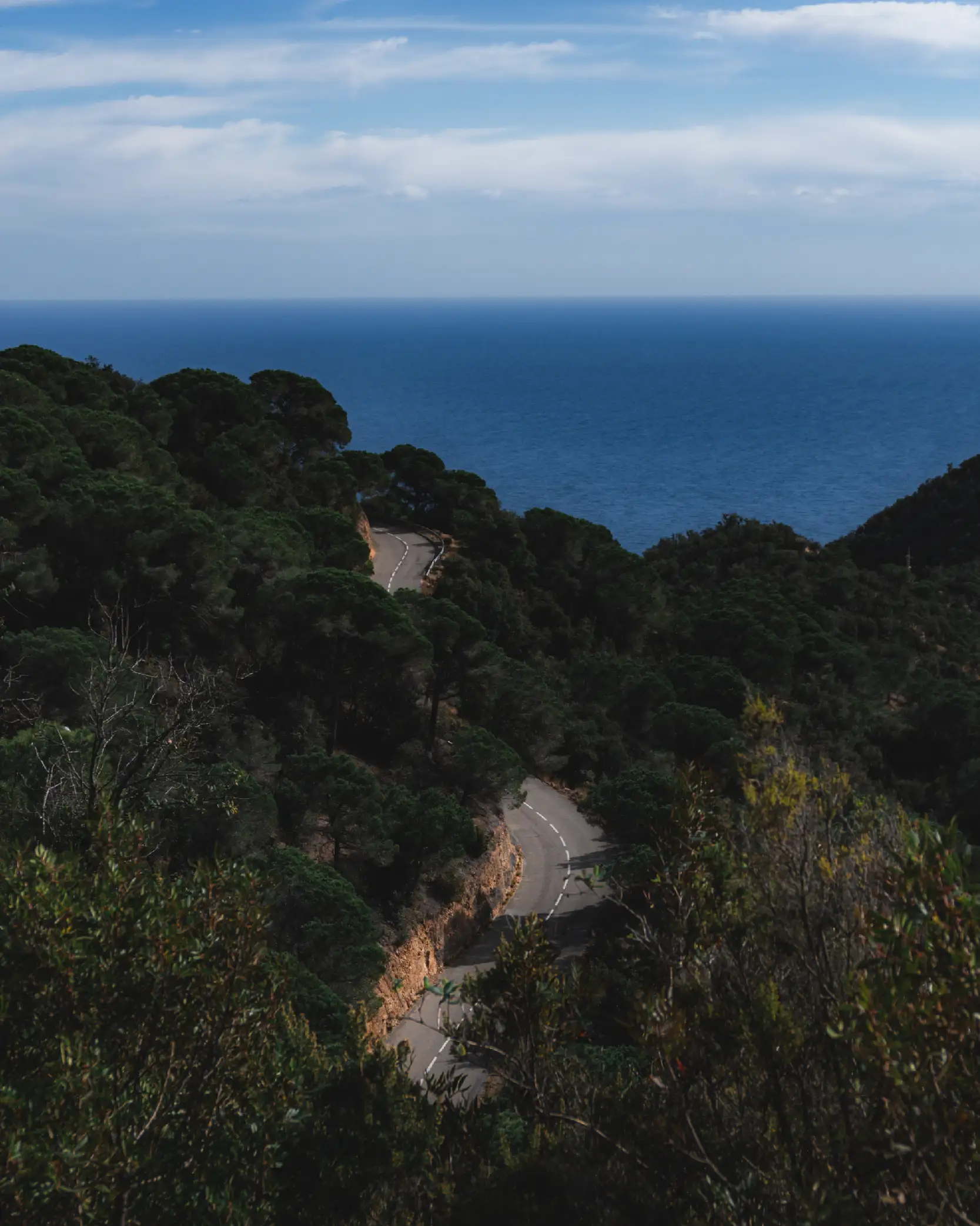 Route sinueuse à travers les pins surplombant la Méditerranée, parcours vélo emblématique de la Costa Brava