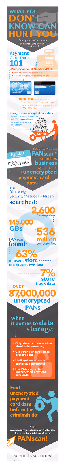 Payment Card Data 101 infographic
