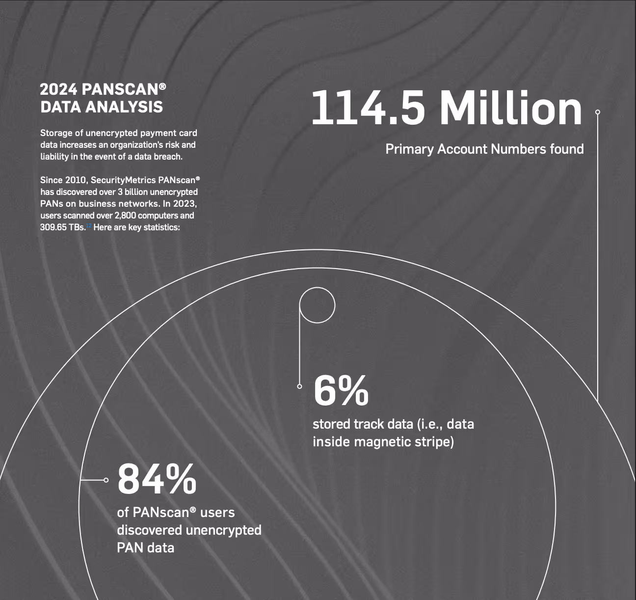 2024 PANscan Data Analysis: Showing that still a large percentage of sensitive payment data is found every year.