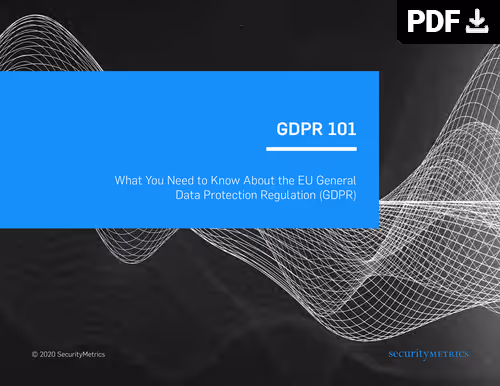 Cover of GDPR 101 white paper on EU data protection regulation.