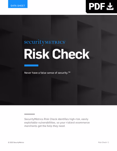 SecurityMetrics Risk Check datasheet cover stating high-risk vulnerability identification for ecommerce.