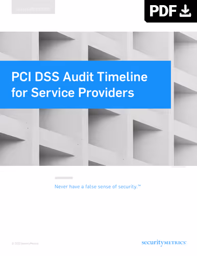 Cover page titled PCI DSS Audit Timeline for Service Providers with a PDF download icon.