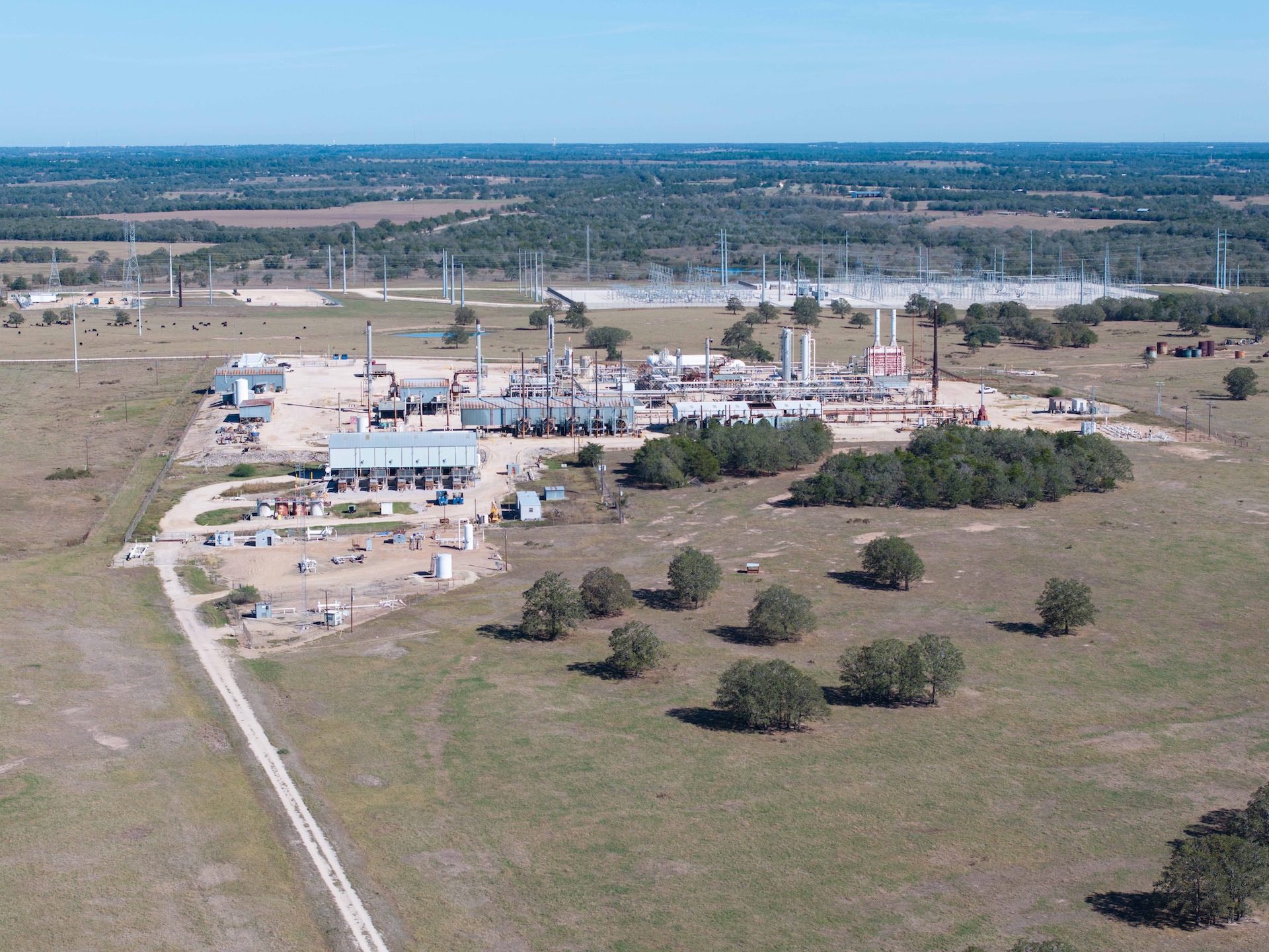 What Normal Looks Like After the Reset