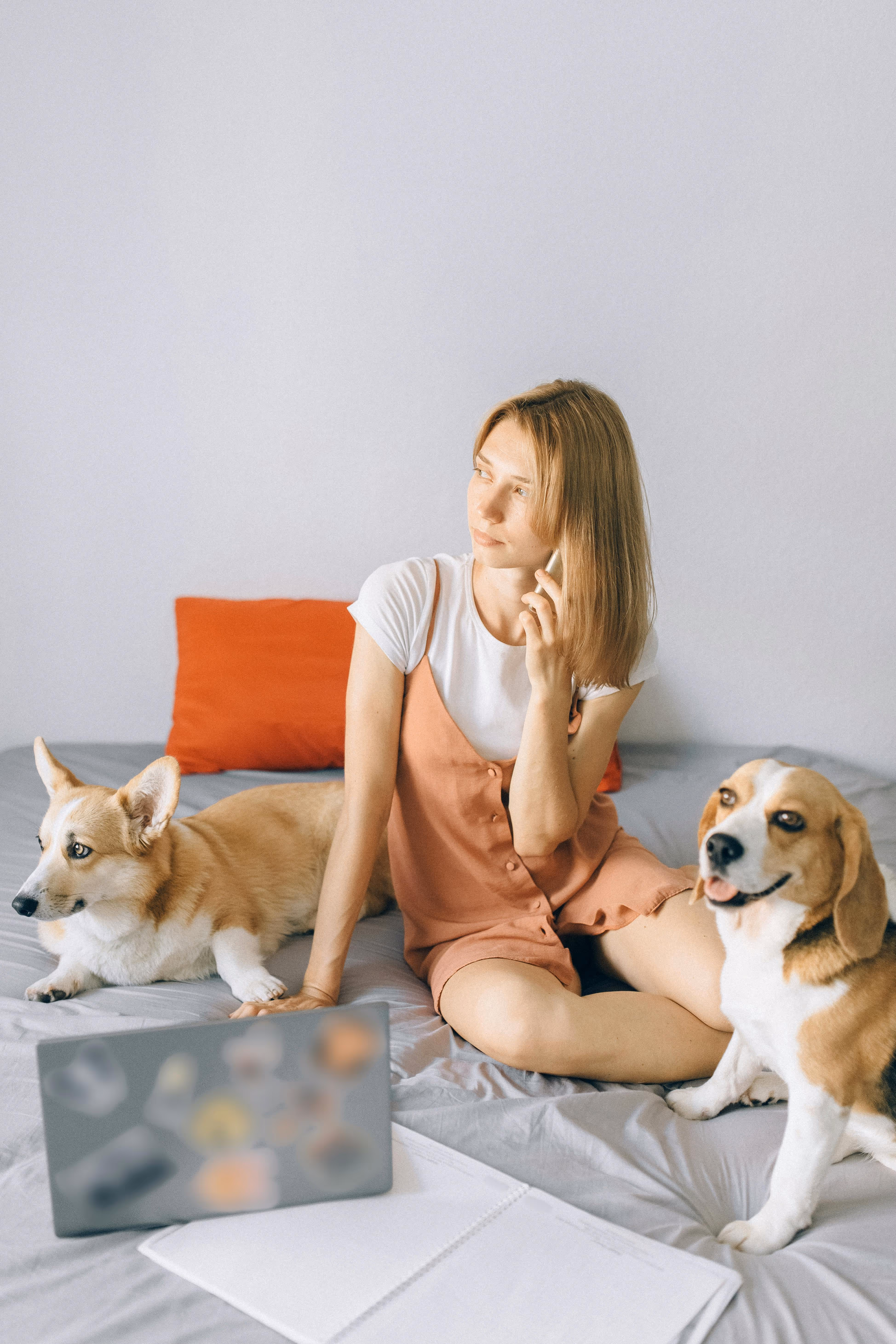 Pet Friendly Stock Photo