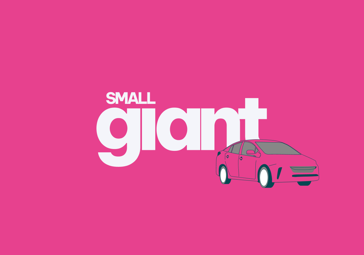 SmallGiant is a membership program for independent insurance agents that helps reduce small claims, protect client insurance records, and create a new stream of recurring revenue.