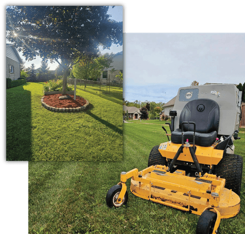 UULawn Care and Landscaping photo 2