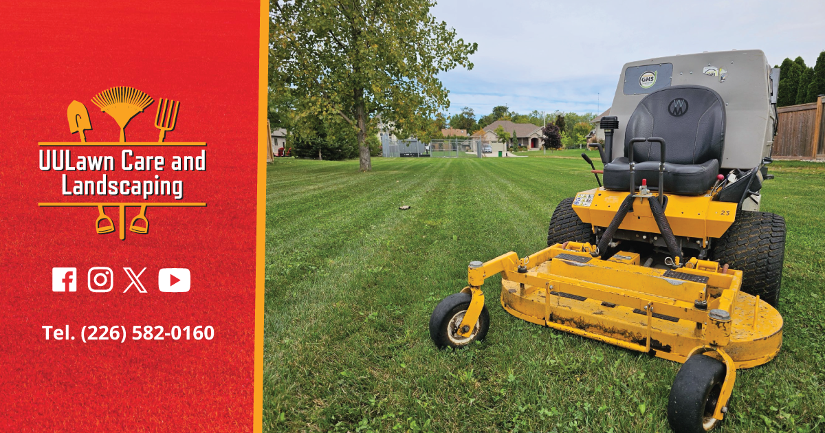 UULawn Care and Landscaping - Landscaping in Watford