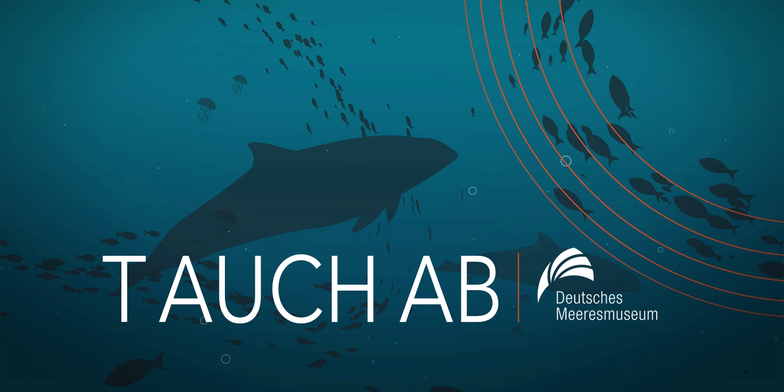 Erklärfilm der Filmproduktion Panda Pictures aus München und Ulm für Deutsches Meeresmuseum. Eine stilvolle Graphic Animation zeigt einen Wal und Fische unter Wasser mit dem Text "TAUCH AB" und dem Logo des Deutschen Meeresmuseums.