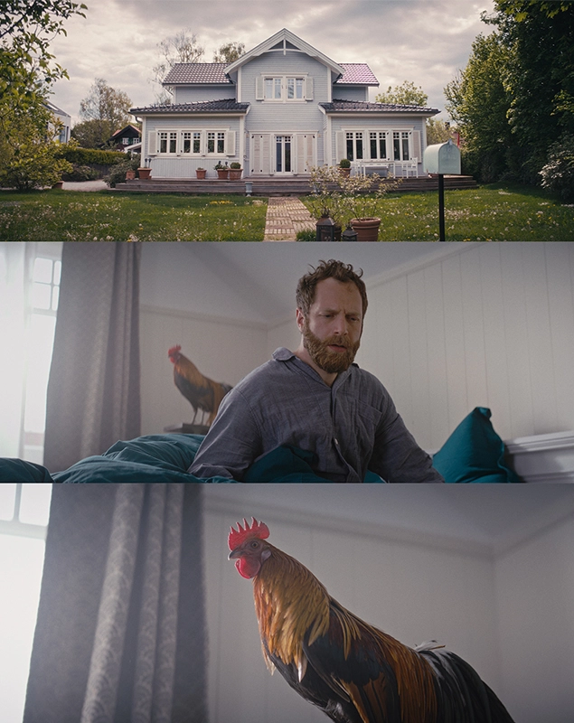 Imagefilm der Filmproduktion Panda Pictures aus München und Ulm für Scheuermann & Heilig. Drei Szenen: oben ein idyllisches Haus mit Garten, mittig einen Darsteller im Bett mit einem Hahn im Hintergrund, und unten eine Großaufnahme des Hahns.
