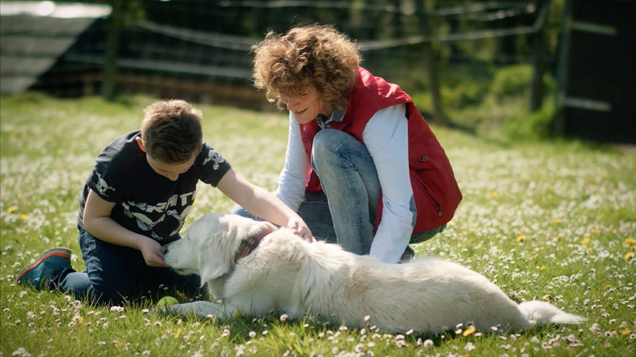 Filmproduktion Panda Pictures aus München und Ulm zum Thema Image- und Marketingfilm: Ein Junge und eine Frau spielen mit einem Golden Retriever auf einer sonnigen Wiese. Die Dreharbeiten wirken entspannt und natürlich.