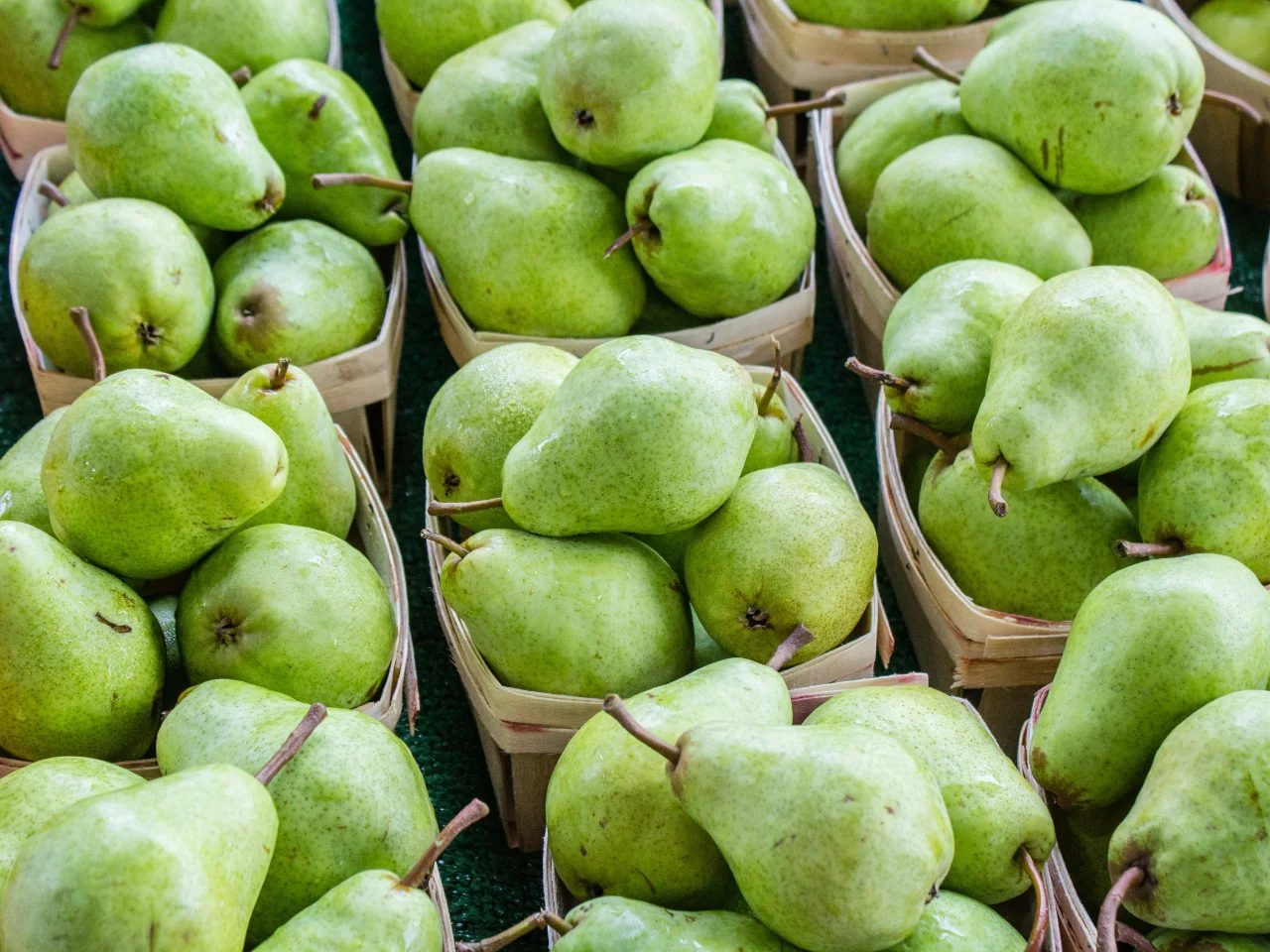 Fresh green pears, a fall fruit that is safe for dogs in moderation
