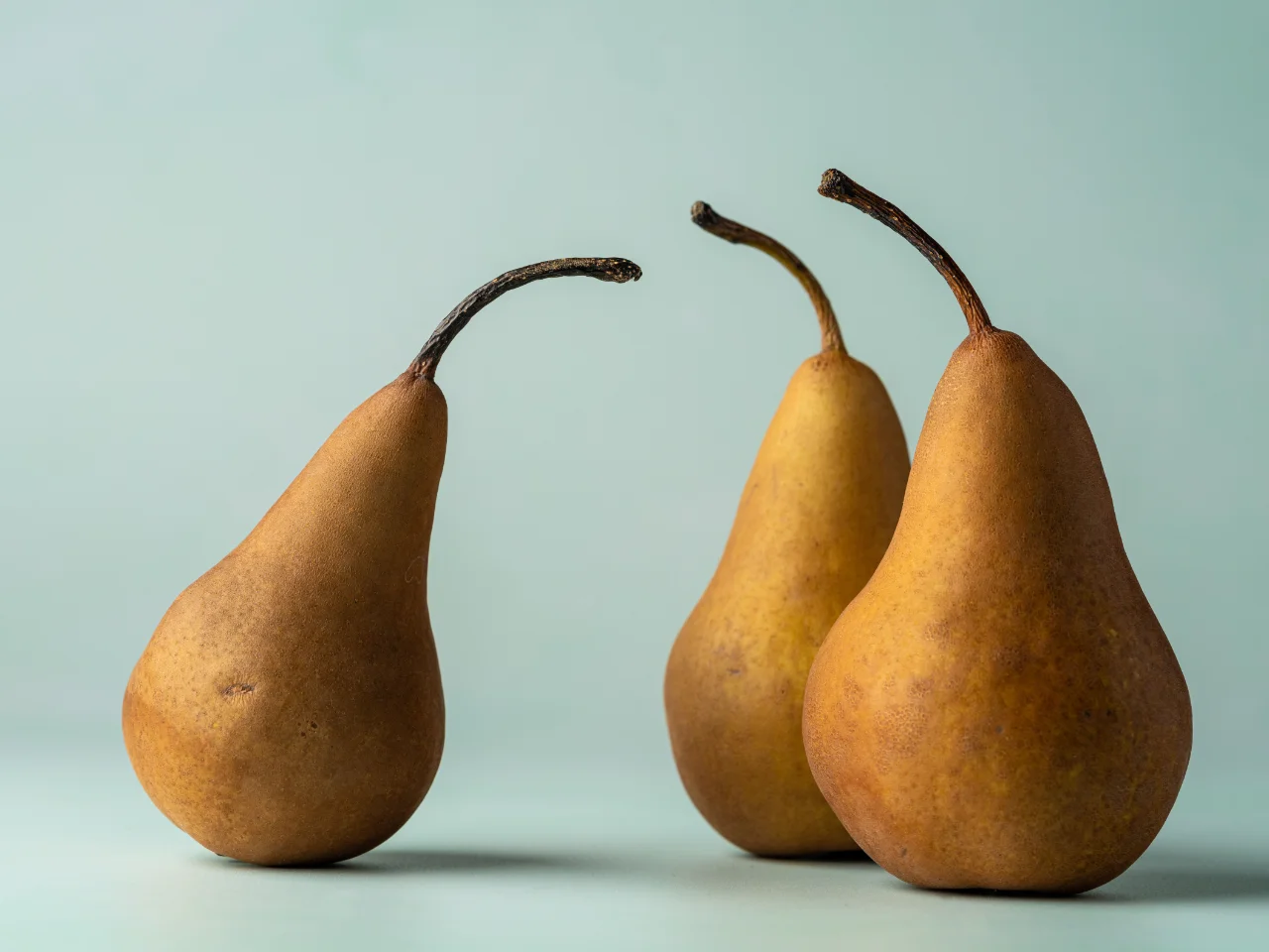 Close-up of ripe pears, which offer fibre and vitamins C and K for dogs