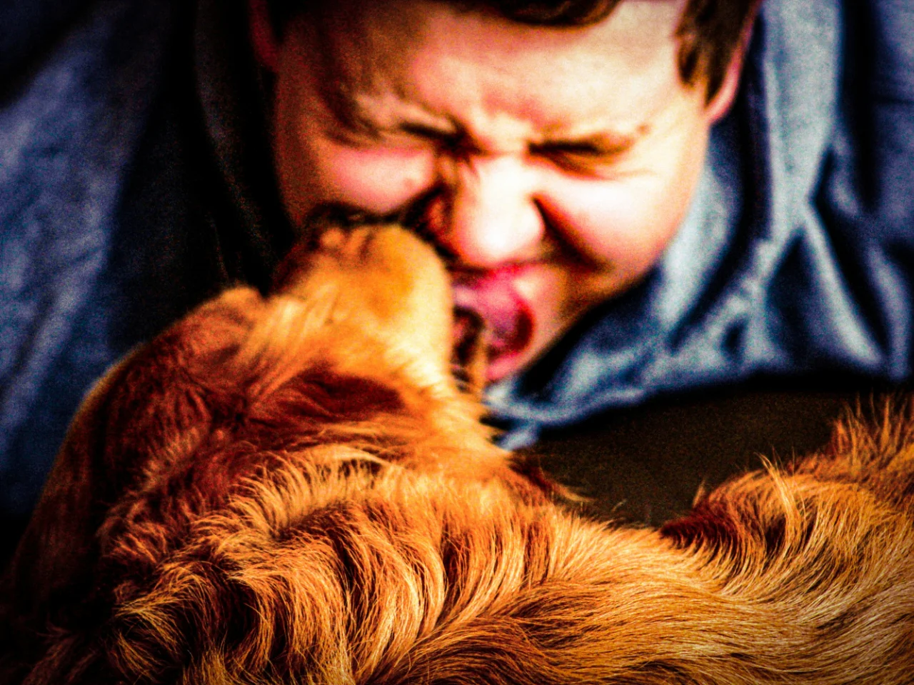Owner cuddling a dog in bed, since human colds don't spread to dogs