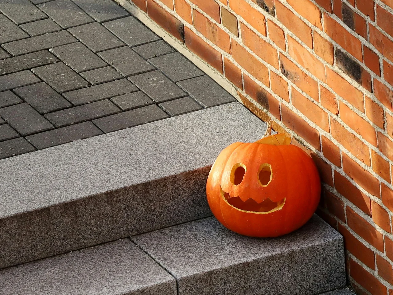 Carved Halloween jack-o'-lantern on steps, which can grow mould and is unsafe for dogs