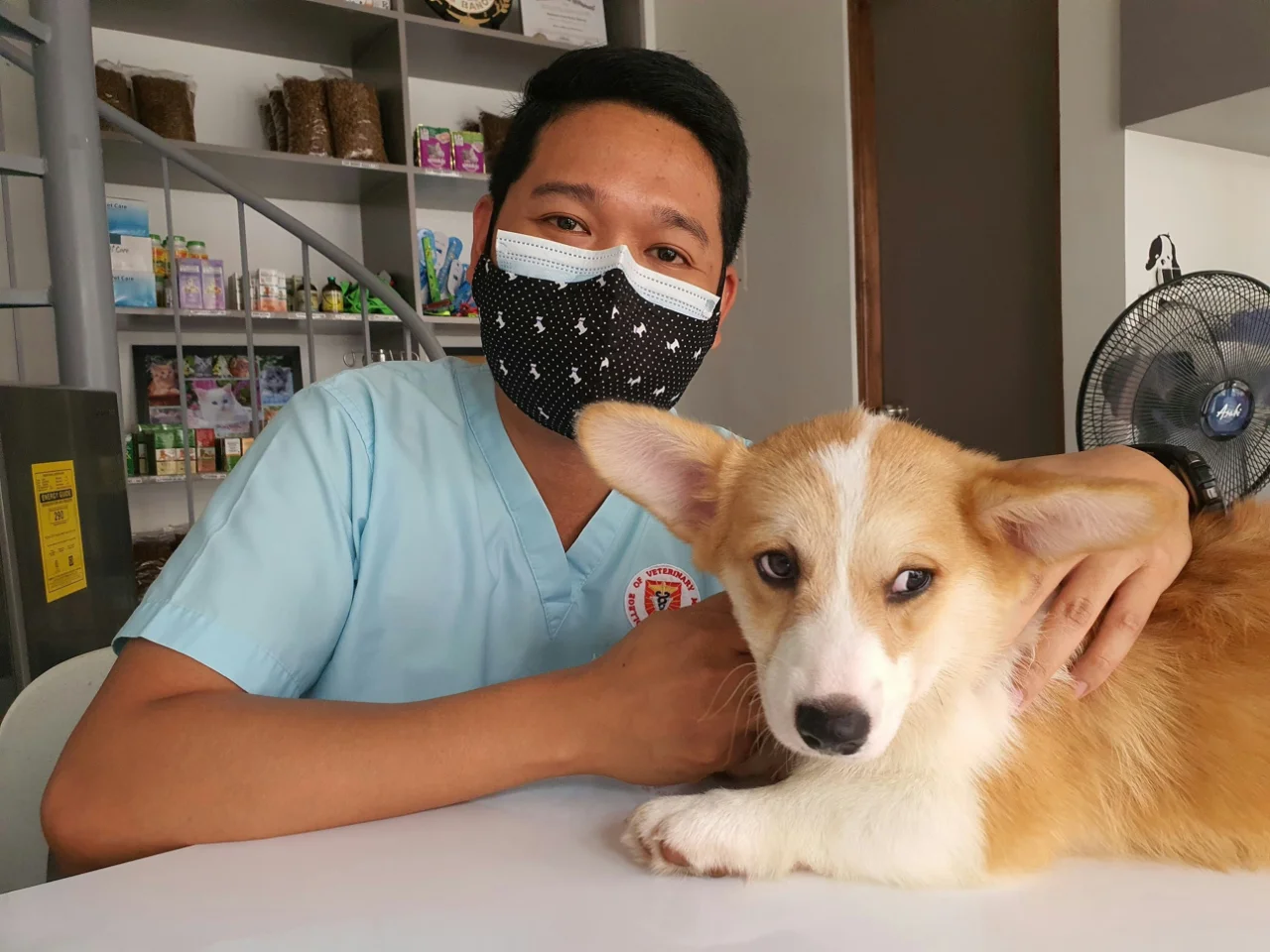 Veterinary team member sitting with a dog during treatment